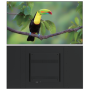 TrendSonic Wall Mount Series Digital Signage 55 Inch